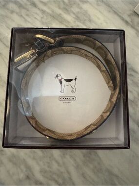 Coach blue Dog collar with Gold Hardware